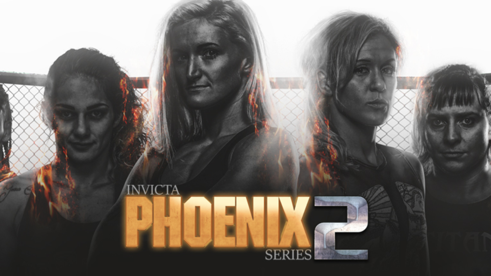 PhoenixSeries2_webwide